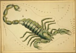 astrological_sign_scorpio_public-domain-no-known-restrictions_72dpi