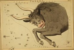 astrological_sign_taurus_public-domain-no-known-restrictions_72dpi