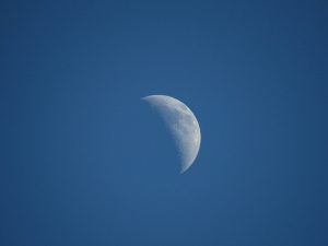 moon-quarter-public-domain-pixababy