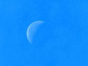 moon-half-quarter-moon-pizabay-public-domain